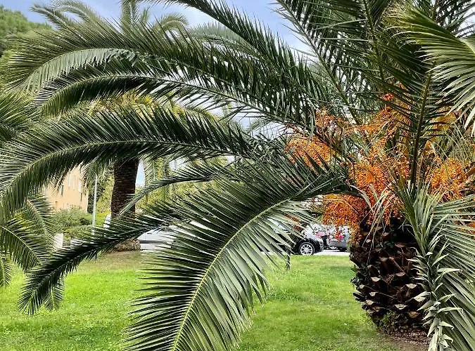 Tropez アパート *