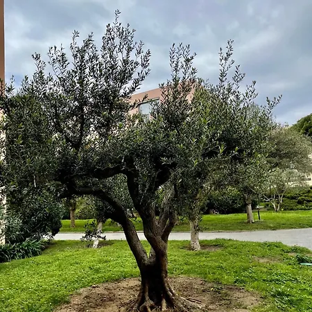 Tropez Appartement Saint-Tropez