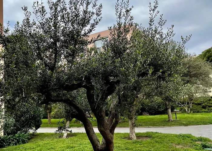 Tropez Appartement Saint-Tropez